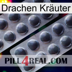 Drachen Kräuter 31